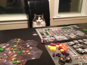 Cómo organizar una reunión de juego