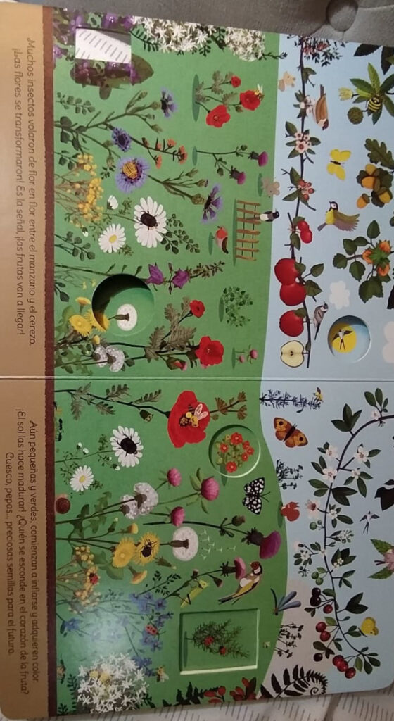 Libro De la semilla a la fruta