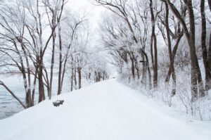 Lágrimas de nieve